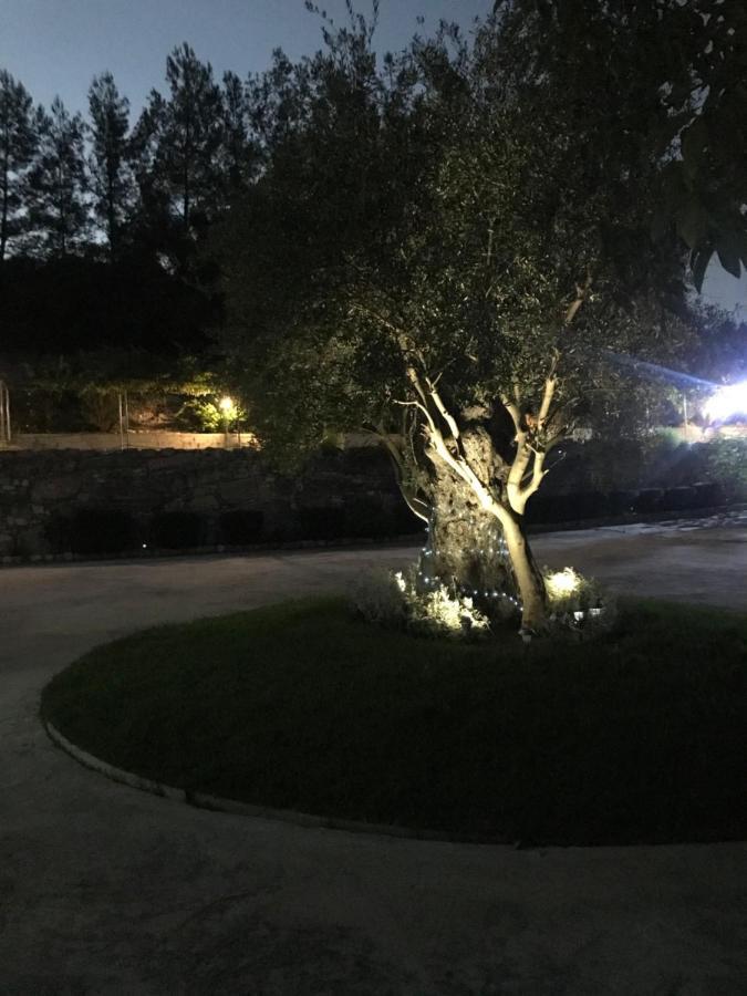 Agia Mavri House Villa Koilani Eksteriør billede